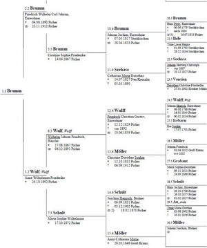 Familie Brumm Stammtafel Cover